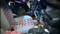 video İstanbul’un göbeğinde yılan operasyonu!