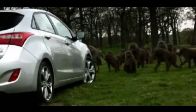 video Otomobili böyle test ettiler!