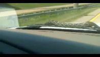 Araban�n Cam�nda Y�lan Var !!!