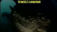 Van Gölü Canavarı Göründü