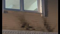 video Öğretmenleri diri diri yakacaklardı